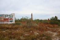 img_9501 img_9501