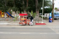 img_9506 img_9506