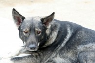 img_9530 img_9530