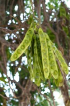img_9534 img_9534