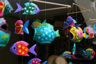 img_9552 img_9552