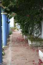 img_9561 img_9561