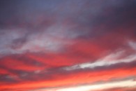 img_9565 img_9565