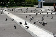 img_0050 img_0050