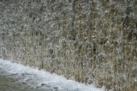 img_0061 img_0061