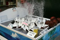 img_0067 img_0067