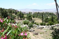 img_0077 img_0077