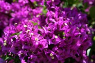 img_0090 img_0090