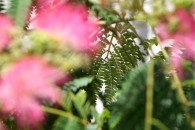 img_0092 img_0092