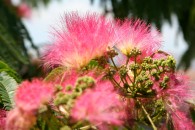 img_0094 img_0094
