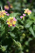 img_0095 img_0095
