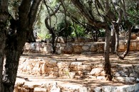 img_0113 img_0113
