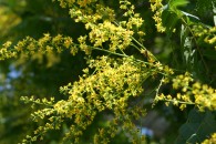 img_0117 img_0117