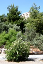img_0118 img_0118