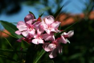 img_0125 img_0125