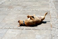 img_0191