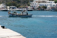 img_0259