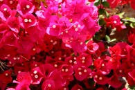 img_0278