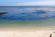 img_0367 img_0367