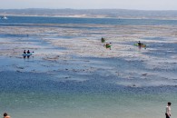 img_0368 img_0368