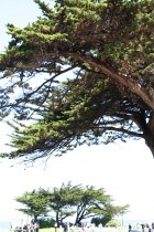 img_0369 img_0369
