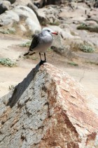 img_0372 img_0372