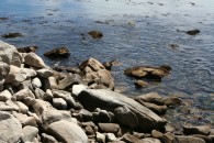 img_0374 img_0374