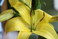 img_0376 img_0376