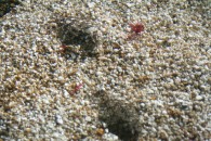 img_0386 img_0386