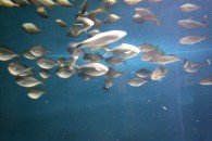 img_0390 img_0390