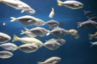 img_0392 img_0392