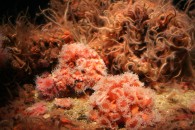 img_0393 img_0393