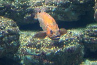 img_0394 img_0394