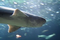 img_0397 img_0397