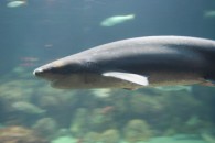 img_0398 img_0398