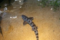 img_0402 img_0402