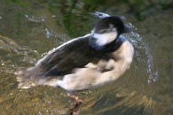 img_0404 img_0404