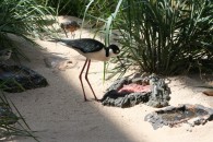 img_0405 img_0405