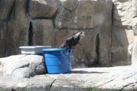img_0408 img_0408