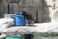 img_0409 img_0409