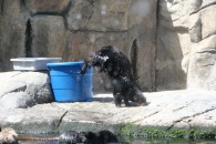 img_0410 img_0410