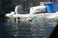 img_0411 img_0411