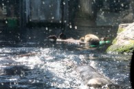 img_0412 img_0412