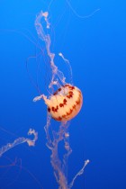 img_0423 img_0423
