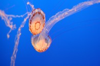 img_0424 img_0424