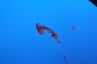 img_0425 img_0425