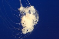 img_0427 img_0427