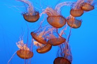 img_0429 img_0429
