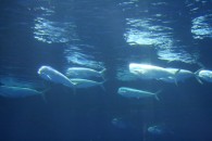 img_0433 img_0433