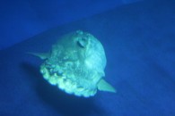 img_0436 img_0436